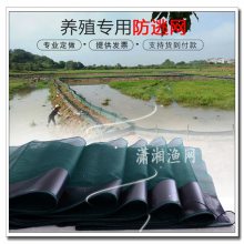 销售福利聚乙烯尼龙鱼塘防逃网