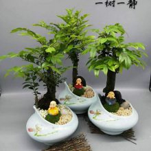 ֲ帣 Ʒ***辰ֱ