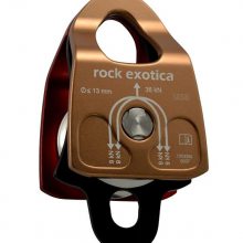 Ϲó׹Ӧ Rock Exotica еԮ