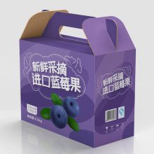 彩箱定 制印logo水果食品玩具手提瓦楞包装纸箱 彩色礼品飞机盒