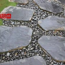 广东深圳鹅卵石基地 自然铺路杂色鹅卵石 5-8公分抛光鹅卵石