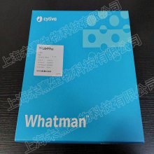 Ӣ CytivaάĤNCĤFFHP Ĥ10547125