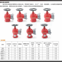 消防箱室内消火栓DN65 公共场所的消防设备 消防器材