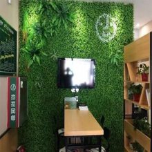 绿达仿真植物墙花生混合草假草坪各款式风格形象绿植花艺墙面壁挂