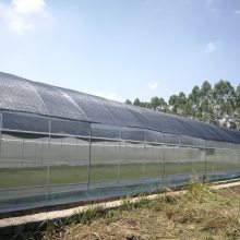 云浮种植大棚安装 食用菌温室大棚 连栋香菇大棚