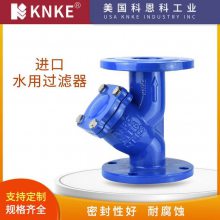 进口水用过滤器 清水污水处理供水给水管道除污器 KNKE科恩科品牌