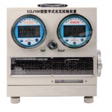 数字式光瓦校验装置 型号:ZX7M-SGJ100 库号：D385456