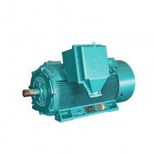 西玛牌YBX2-3551-2-185KW-6KV-IP55-F级ExdIIBT4隔爆型防爆电机