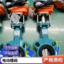 ɭD971X-16 DN125Լʽˮõ綯 ȼIP67綯