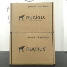 (yu)P300oW(wng)AP Ruckus P300(yu)901-P300-C***