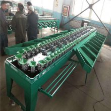 阿克苏苹果选果机 果蔬产后处理机 分拣分级好帮手