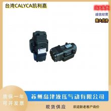 ̨CALYCAεŻDSA-03-2B2L-A110Һ