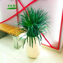 ޺ֲ޺ֲ⣬ֲڼֲ