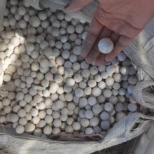 长期回收山西工厂用过的 废高铝瓷球 废氧化铝球 废高铝研磨球