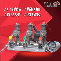 西熔12kv户外真空断路器zw32-12fg/630a高压柱上开关带隔离智能看门狗10kv