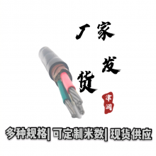 特种电缆YGC 2*2.5硅胶绝缘电力电缆YGCBP