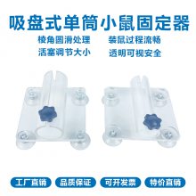 实验室固定器设备吸盘式大小鼠单筒固定器动物实验