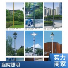 新农村6米电线杆led路灯中国结灯笼太阳能杆装饰灯户外庭院灯