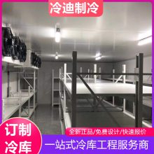 低温冷库建造安装设计 速冻冷库建造设计安装 冷迪制冷