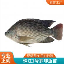 Ʒ޷ Է긣㵭ˮֳ ʰ