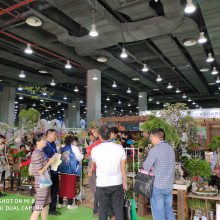 2020亚洲园林景观产业博览会