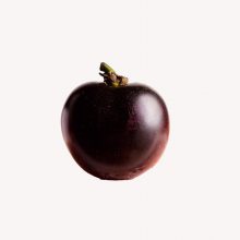 ڷɫӣС̨߲ʥŮ