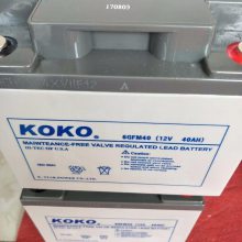 ɿά12V38AH KOKO6GFM38ͨѶ豸