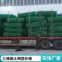 世杰塑料EM4三维植被网 草皮护坡固土网垫 14mm 16mm厚