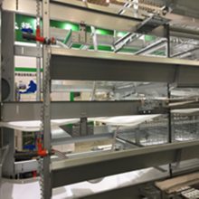 全国热卖自动喂料机层叠式阶梯鸡用喂料设备