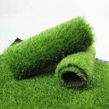 ɫƺƷƺȼרҵƺ˹ֱ̹