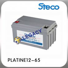 STECO时高蓄电池PLATINE12-65、12V65AH电厂、船舶、通信、