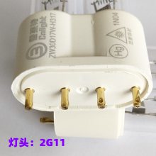 ѩ30WõƹZW30D17W-H317 2G11ɱ
