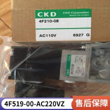 4KA219-06-AC220VCKDŷ