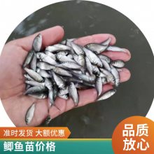 ۷ˮ ˮ 巢 Ӧ  