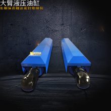 江苏起重机液压油缸 悬臂吊油缸 工程液压缸 非标定制厂家直销