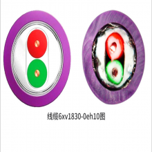 DPߵProfibusͨѶ6XV1830-0EH10RS485˫о