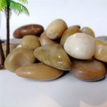 天津鱼缸造景鹅卵石园林鹅卵石厂家价格