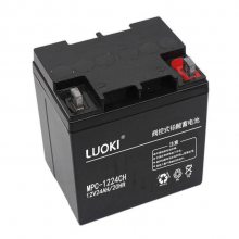 LUOKIMPC-1212ά12V12AH UPSԴֱEPS