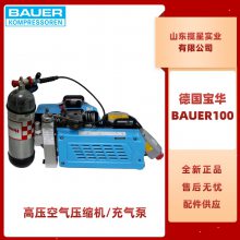 BAUER100ƶʽѹǱˮ