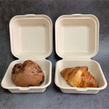 网红纸浆甘蔗汉堡盒天和包装可降解餐盒一次性环保餐具
