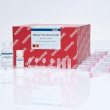 QIAGEN 74134 RNeasy Plus Mini KitRNAԼ