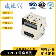 Ӧʽ3.1USB DIPTYPE-Cĸ