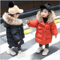 2020冬季童装棉服批发韩版时尚小可爱百搭棉袄儿童3-8岁羽绒服批发
