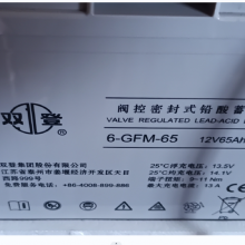 Ǧ˫Ʒܱʽ 6-GFM-65 (C20)