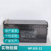 ˹NPJ65-1212V6***Hҵն 