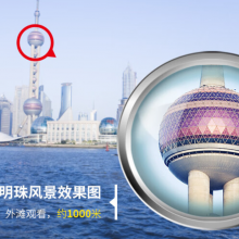 德国Steiner视得乐2303高清双筒夜视望远镜观鸟演唱会