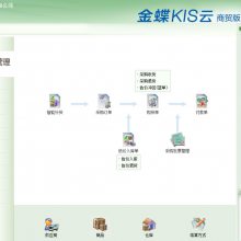 金蝶KIS云专业版版V16.0总账+报表财务记账管理ERP电脑软件报表分析