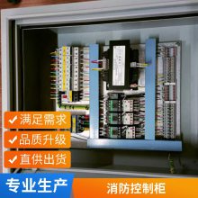 电厂不锈钢自动化变频控制柜 供水软启动柜 成套控制配电柜设备