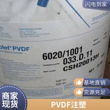   ά PVDF Solef 41308