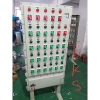 BXMD51-10KϽ䳧